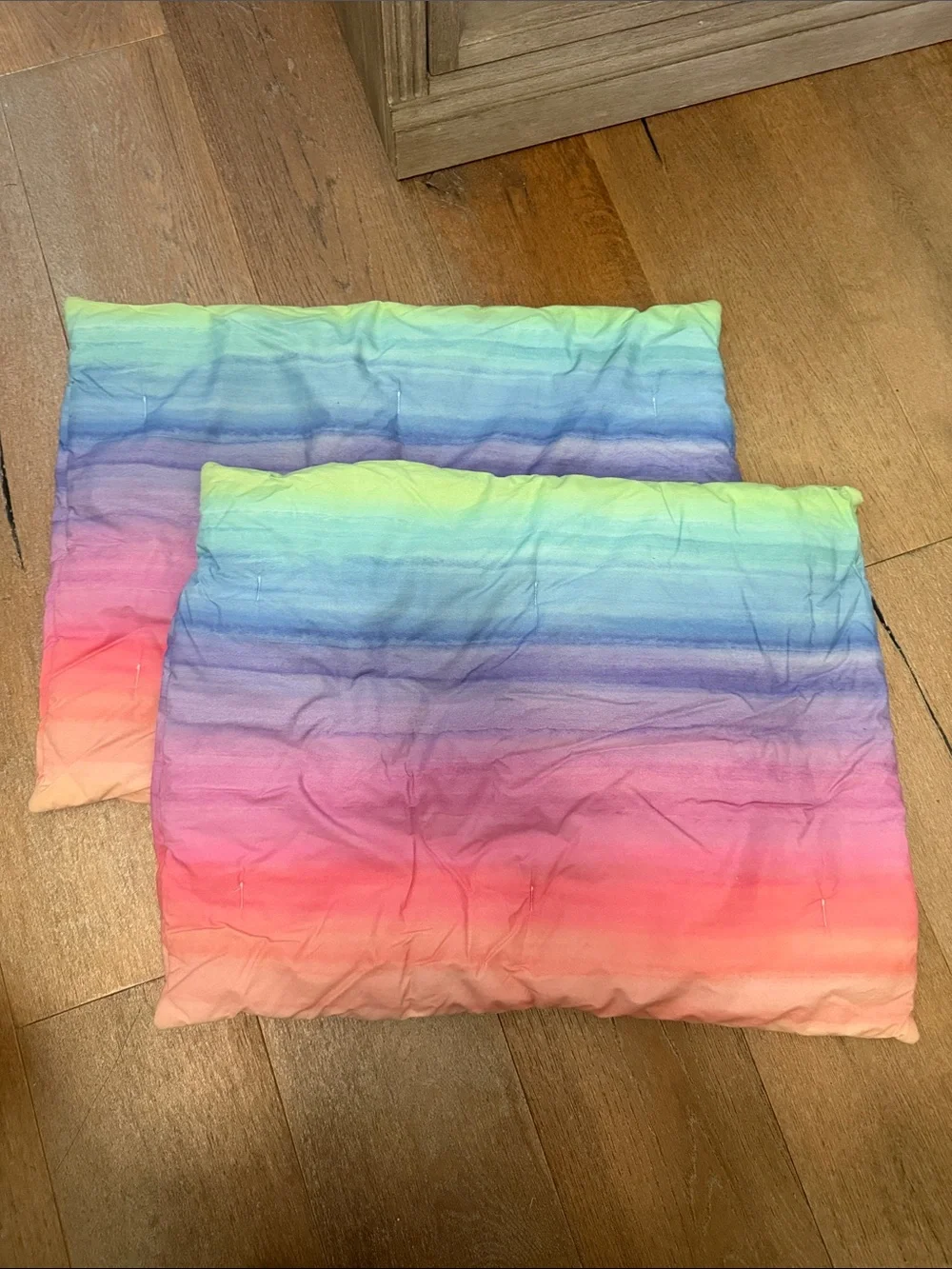 Pottery Barn Teen Rainbow Ombre Standard Pillow Shams Pair